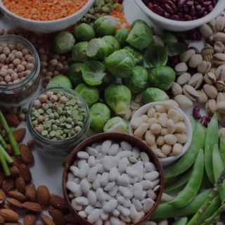 wellhealthorganic.com:protein-rich-vegetarian-indian-food